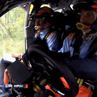 Open Door Wtf GIF by FIA World Rally Championship