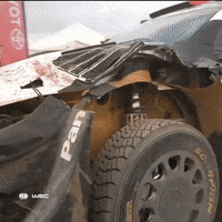 Game Over Car GIF by FIA World Rally Championship