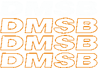 Motorsport Rennsport Sticker by DMSB e.V.