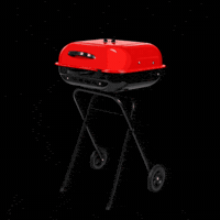 americanagrills grill grilling charcoal grills GIF