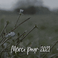 Joyeux Noel Meat GIF by Grutto.com