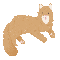 Cat Kitten Sticker by petall