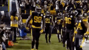 Pick Six 2018 Nfl GIF by NFL