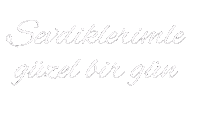 Temizlik Sticker
