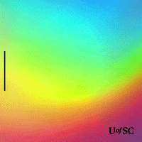 South Carolina Love GIF by University of South Carolina