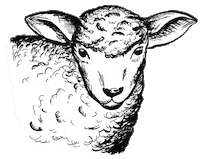 Schnauze-und-company  Sticker