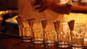 columbus cancun GIF by Dolphin Discovery