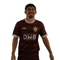 Celebration Goal Sticker by BFC Dynamo