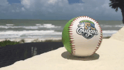Kccougars GIF by Kane County Cougars