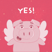 Flying Pig Yes GIF by PositivelyPigasus