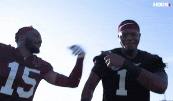 HogsPlus football college plus arkansas GIF