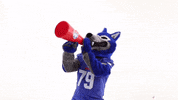 gowest uwg GIF by University of West Georgia