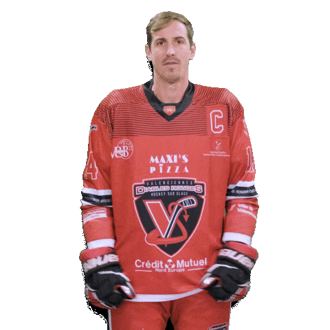 Diables Rouges Hockey Sticker by diablesrougesvalenciennes