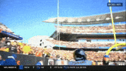 Celebration Nfl GIF by Pittsburgh Steelers