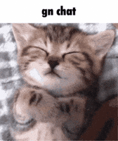 Sleepy Good Night GIF
