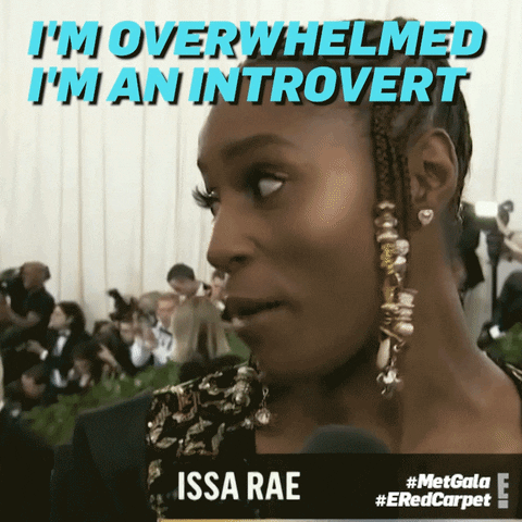 met gala 2018 GIF by E!