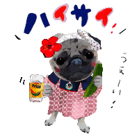 Cheers Pug Sticker