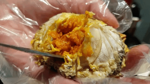 myyjchang giphyupload GIF