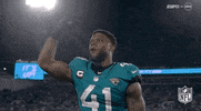 Jacksonville Jaguars Football GIF by NFL