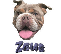 Dog Bulldog Sticker