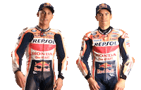 Honda Celebration Sticker by Box Repsol