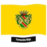 Comunidad De Madrid Flag Sticker by Formación Ninja