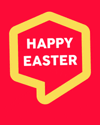 Bunny Wow GIF by Linz News
