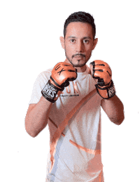 Mma Punch Sticker by LUX Fight League