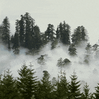 Climate Change California GIF by PBS Digital Studios