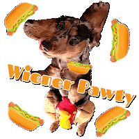 Party Sup Sticker by Pimp Yo Pets