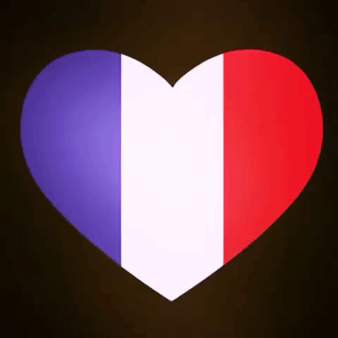 france GIF by The Videobook