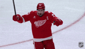 Happy National Hockey League GIF by NHL