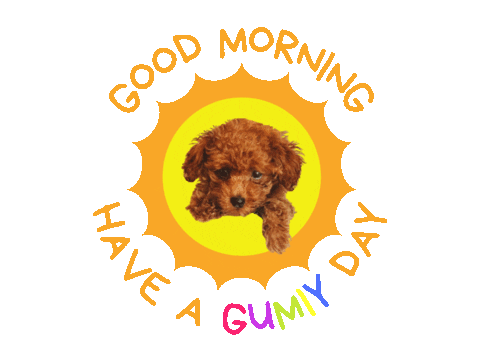 Poodle Sticker by PUPPY PET