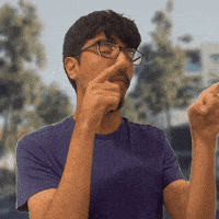 South Dirve GIF