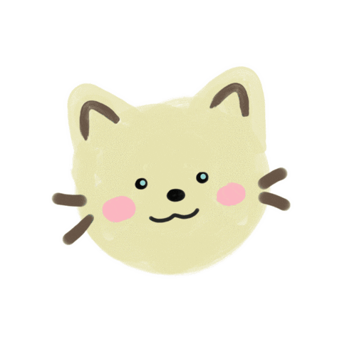 Cat Kitten Sticker
