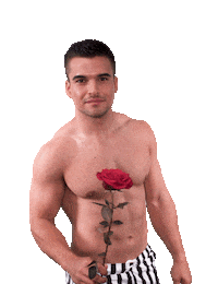 The Bachelorette Dating Sticker by RTLde