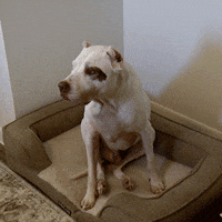 Married At First Sight Lol GIF by Lifetime