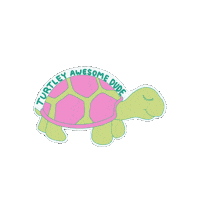 Turtle Dude Sticker