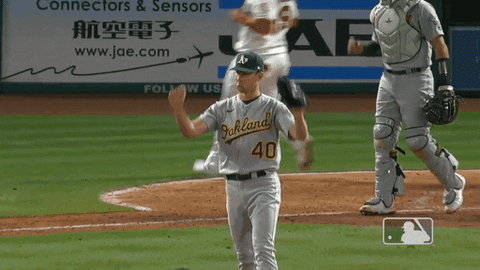 Regular Season Ok GIF by MLB