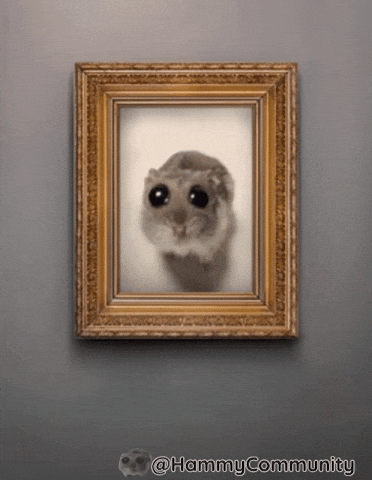 Picture Frame GIF by Sad Hamster