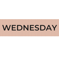 Wednesday Sticker by City Barre