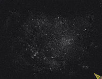 odewilliesfunkybunch animation space stars alien GIF