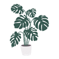 Plants Diy Sticker by toom Baumarkt