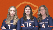 C-N Volleyball GIF by Carson-Newman Athletics