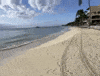 Riviera Maya GIF by CGTraveler - Carlos Garrido - Adventrgram