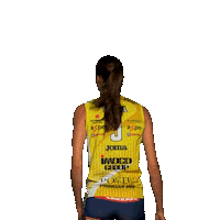 Pantere Imoco Sticker by ImocoVolley