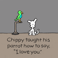 GIF by Chippy the Dog