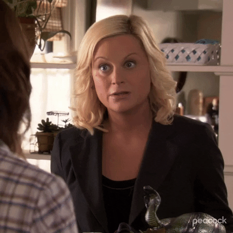Season 3 Episode 6 GIF by Parks and Recreation