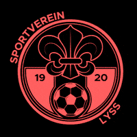 Soccer Svl GIF by delaaysport