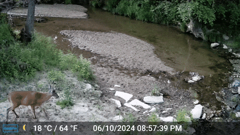 MOhunting giphyupload GIF